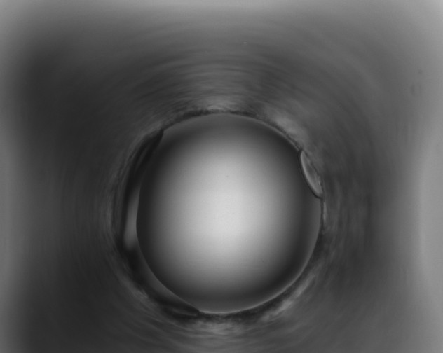 X0000088390201200705291415