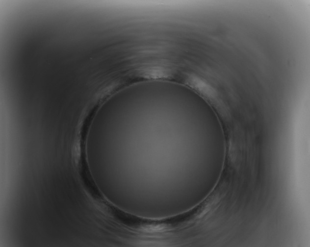 X0000088390202200705291415