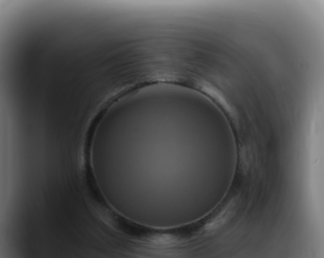 X0000088390203200705291415