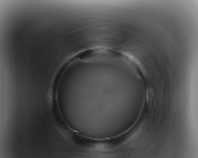 X0000088390204200705291415