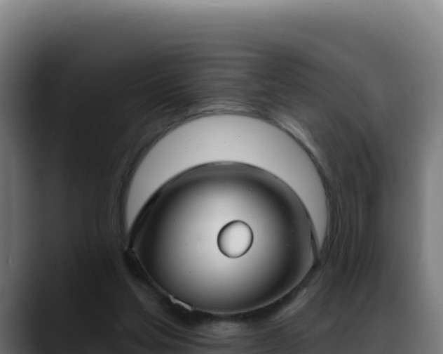 X0000088390205200705291415