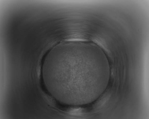 X0000088390206200705291415