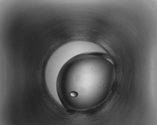 X0000088390207200705291415