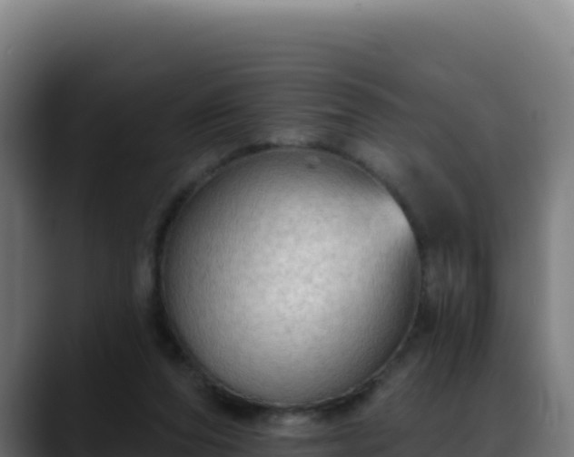 X0000088390208200705291415