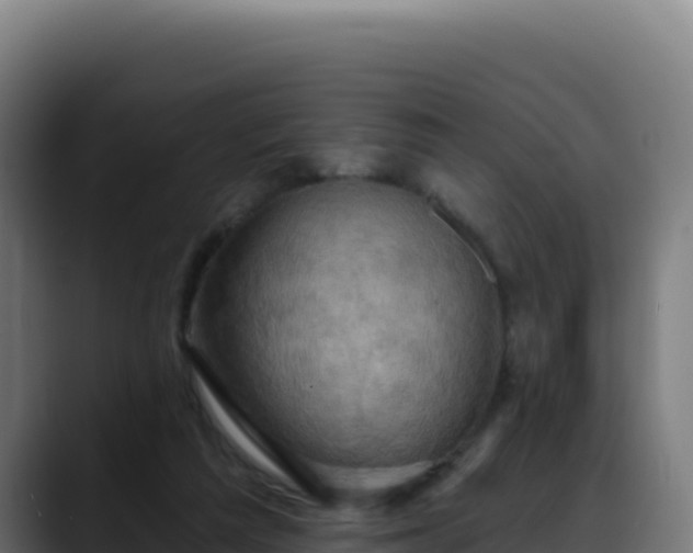 X0000088390209200705291415