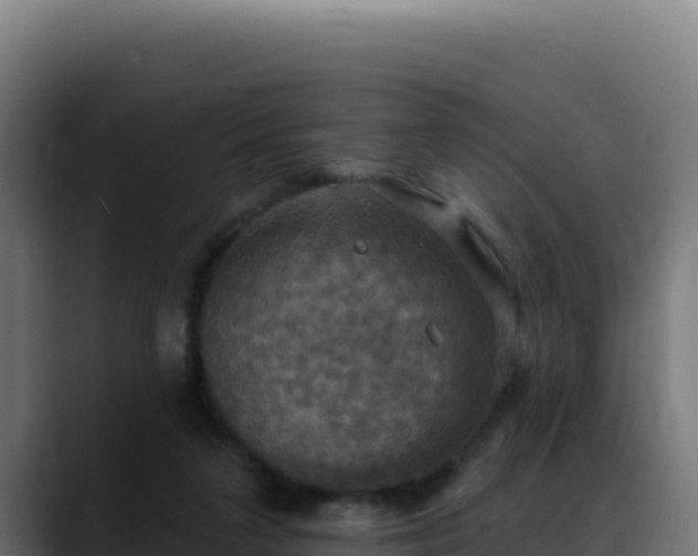 X0000088390211200705291415