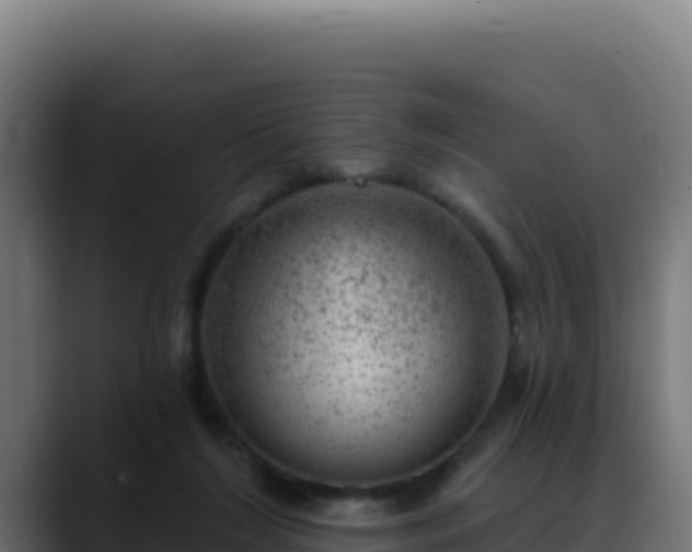 X0000088390212200705291415