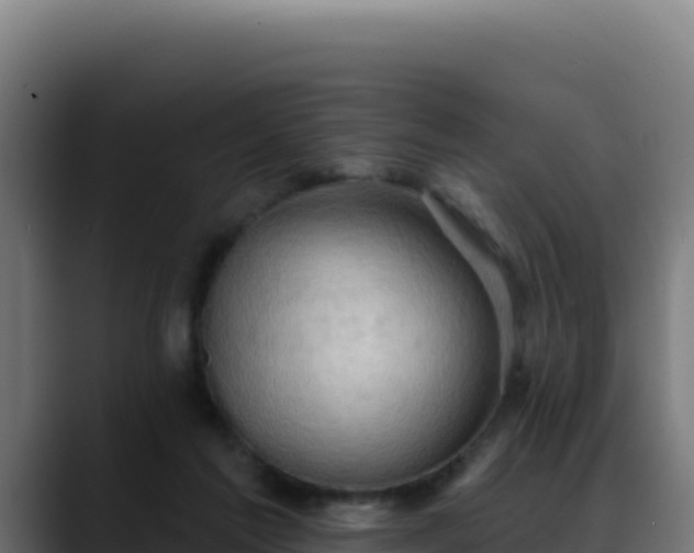 X0000088390213200705291415