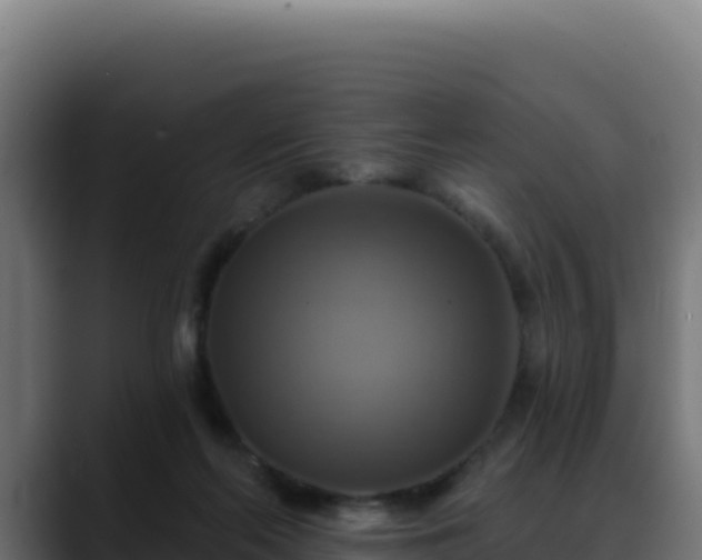 X0000088390214200705291415