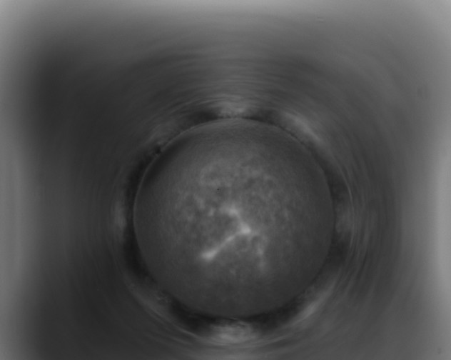 X0000088390215200705291415