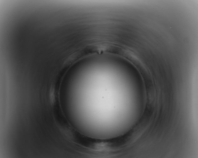 X0000088390216200705291415