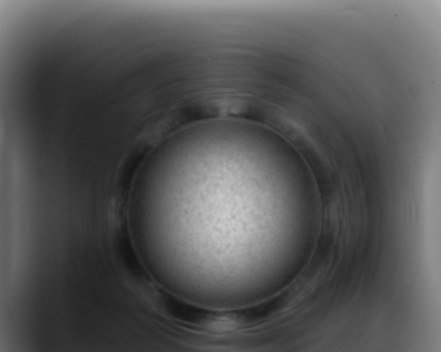 X0000088390218200705291415