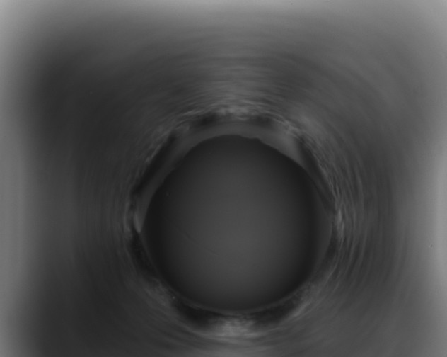 X0000088390223200705291415