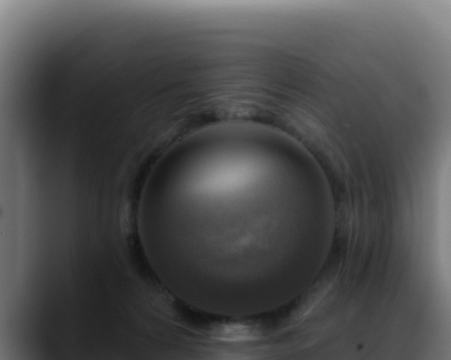 X0000088390224200705291415