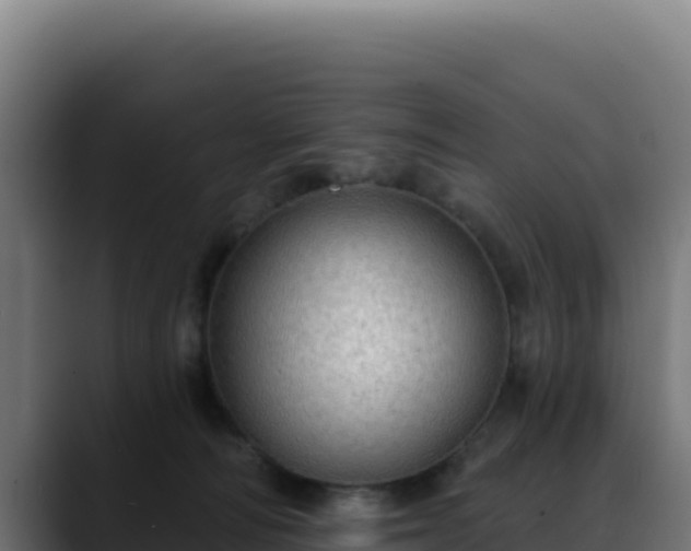 X0000088390226200705291415