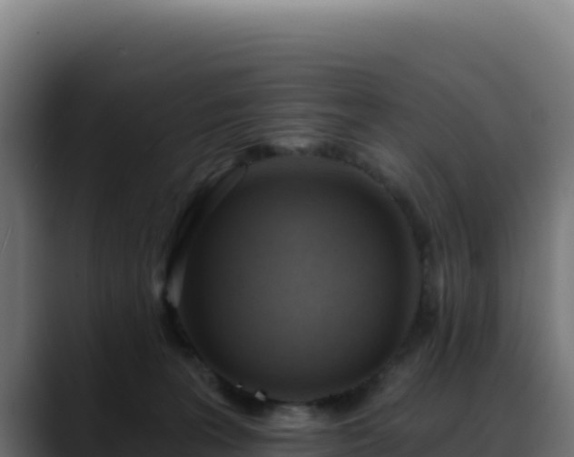 X0000088390227200705291415