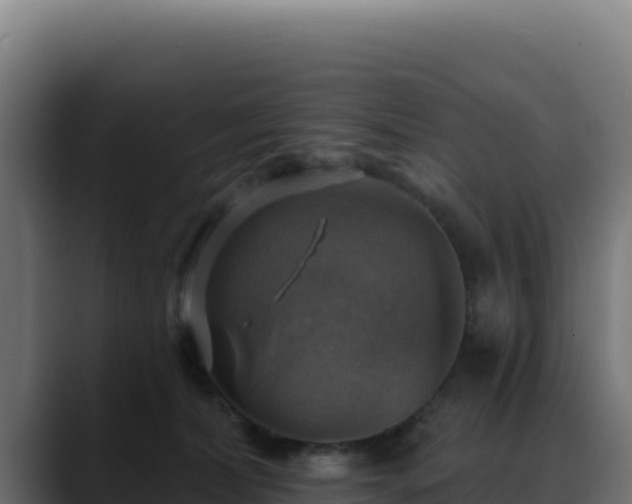 X0000088390228200705291415