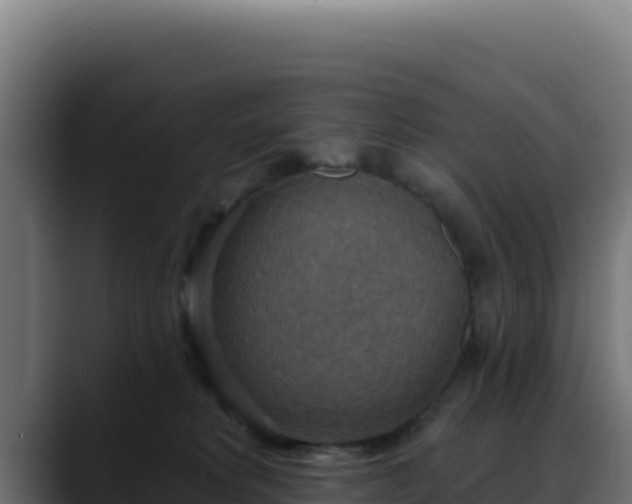 X0000088390229200705291415