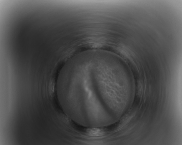 X0000088390230200705291415