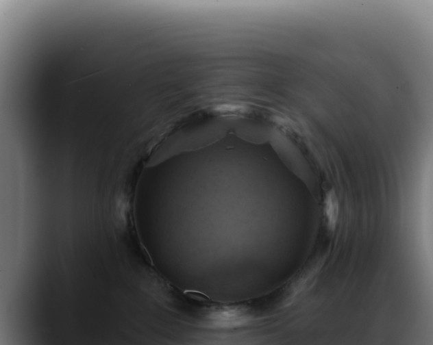 X0000088390235200705291415