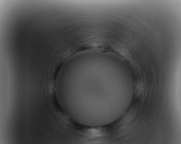 X0000088390236200705291414