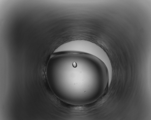 X0000088390237200705291414