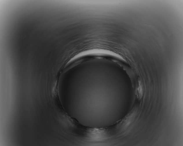 X0000088390239200705291414