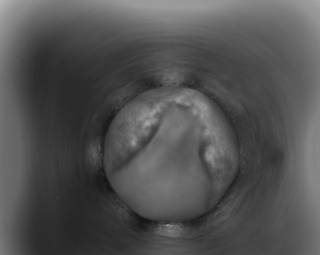 X0000088390240200705291414