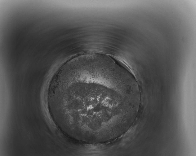 X0000088390241200705291414