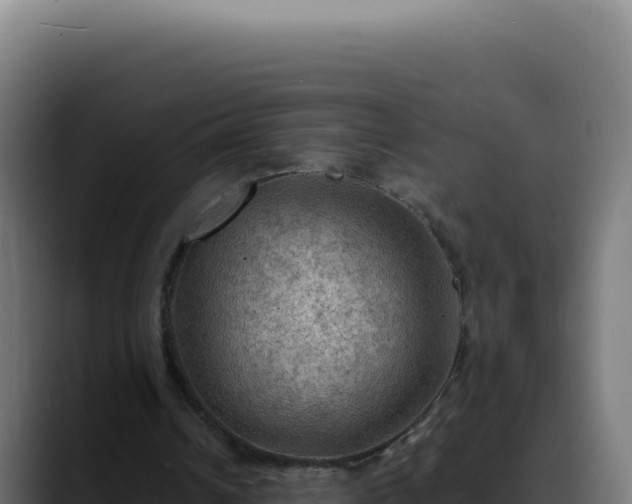 X0000088390242200705291414