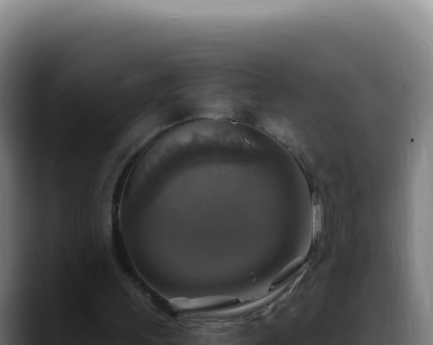 X0000088390243200705291414