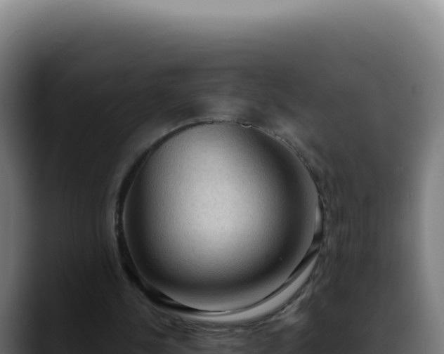 X0000088390244200705291414