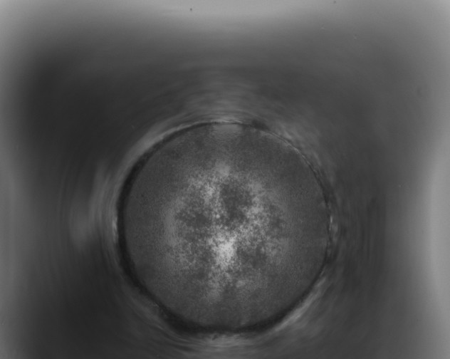 X0000088390246200705291414