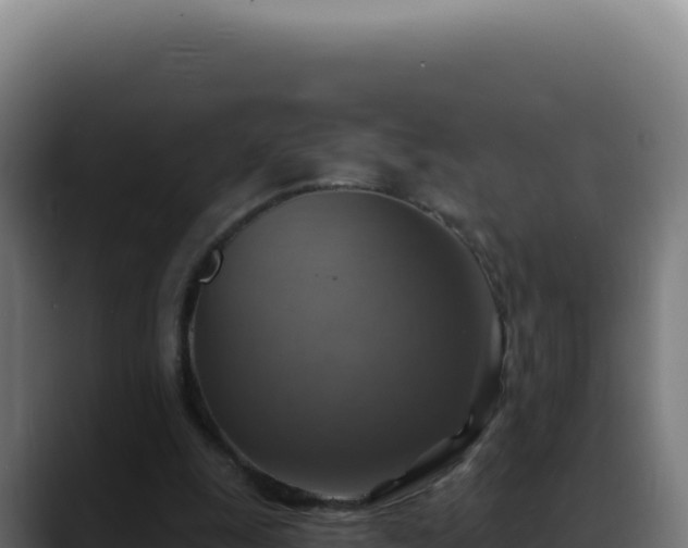 X0000088390247200705291414