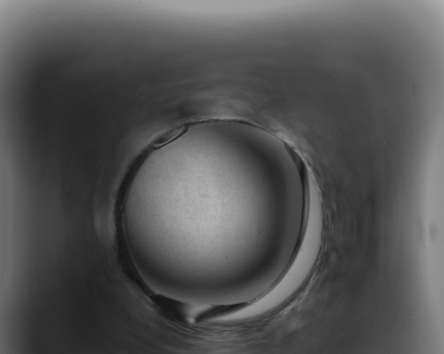 X0000088390248200705291414