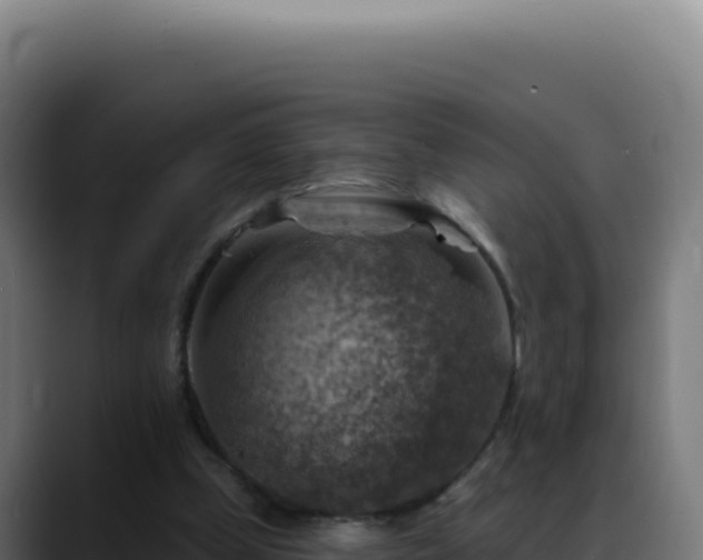 X0000088390249200705291414