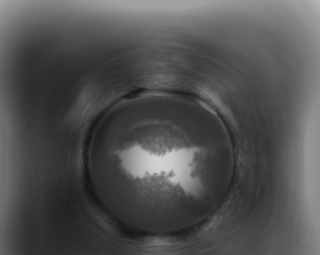 X0000088390250200705291414