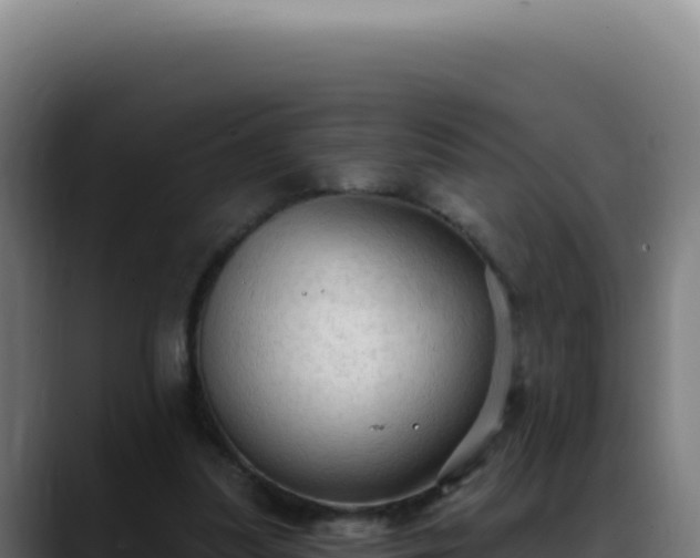 X0000088390251200705291414