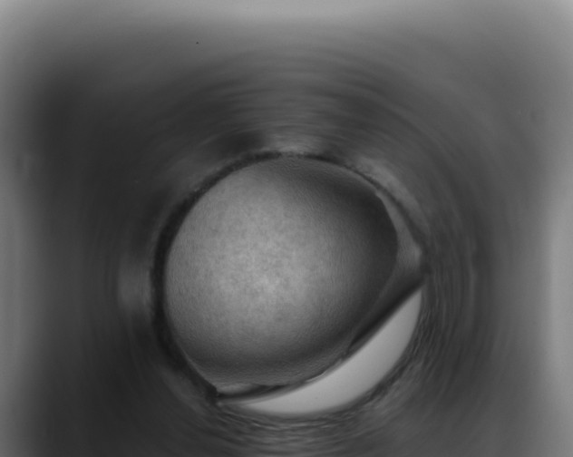 X0000088390252200705291414