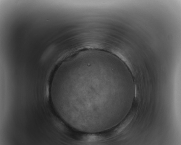 X0000088390253200705291414