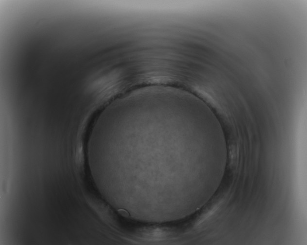 X0000088390254200705291414