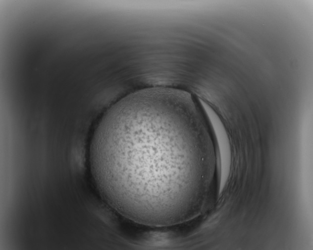 X0000088390255200705291414