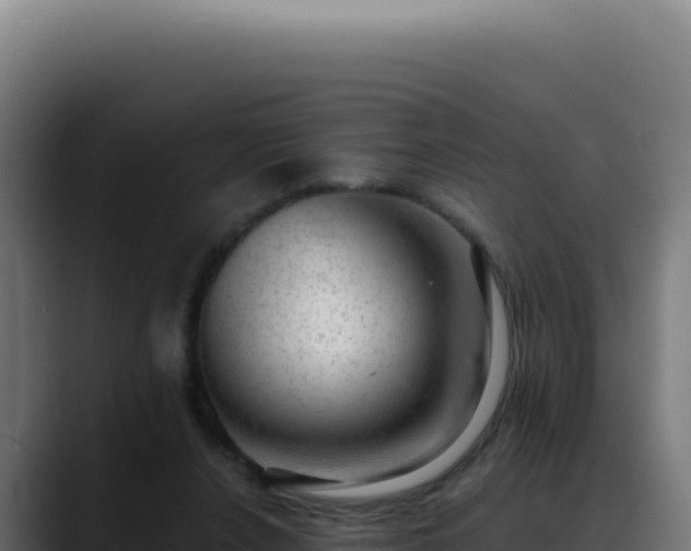 X0000088390256200705291414