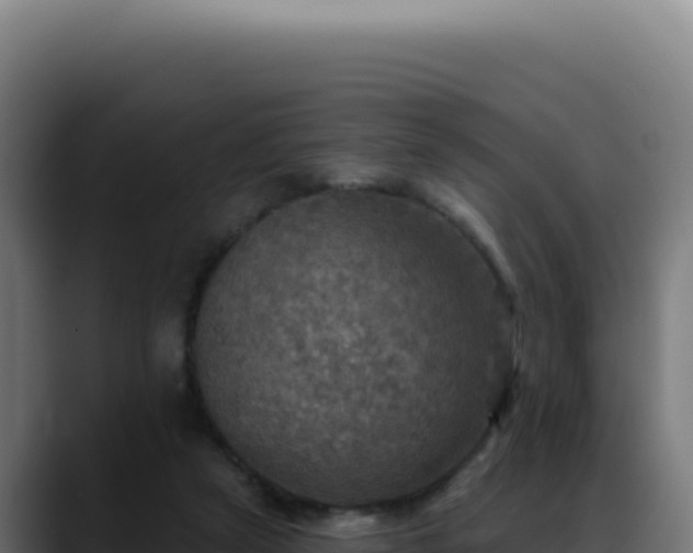 X0000088390257200705291414