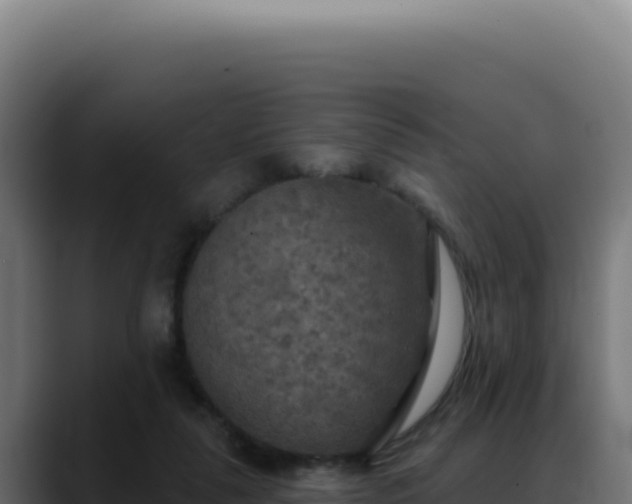 X0000088390259200705291414