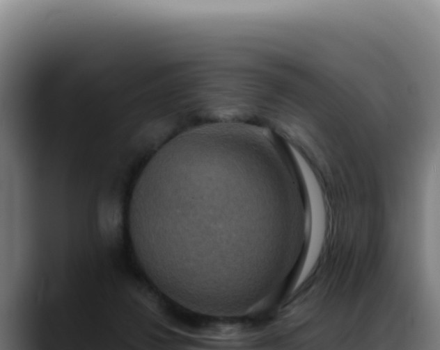 X0000088390260200705291414