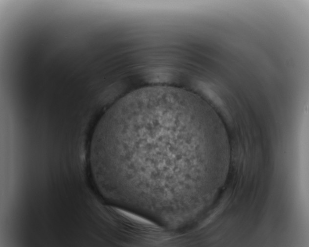 X0000088390261200705291414