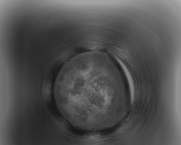 X0000088390263200705291414