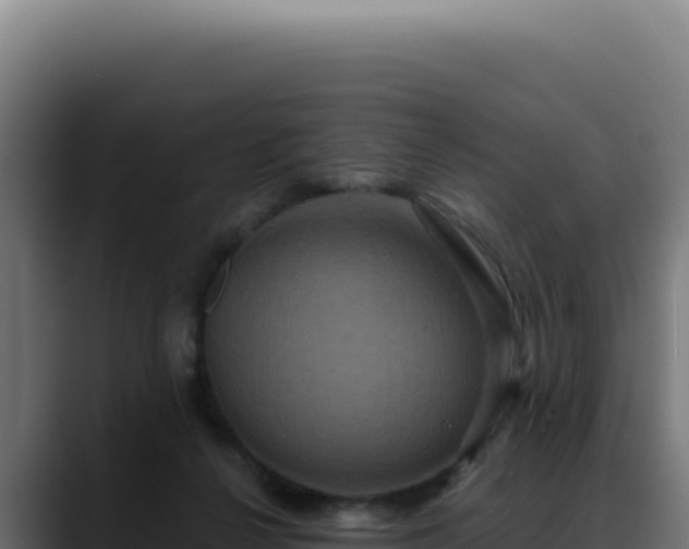 X0000088390264200705291414