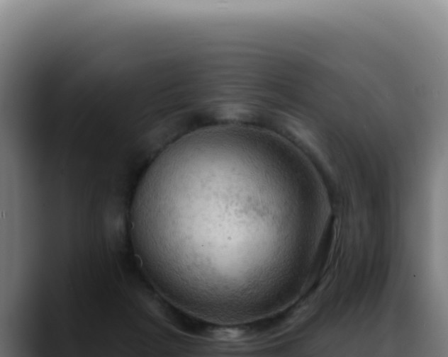 X0000088390265200705291414